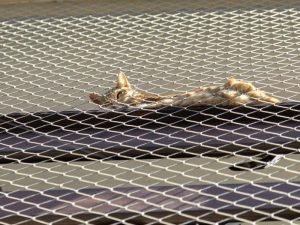 Telas de segurança para condomínios em Curitiba