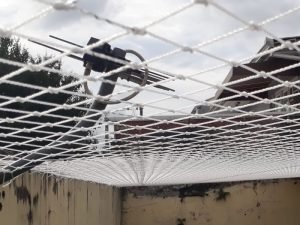 Telas de proteção pra Janela em Curitiba