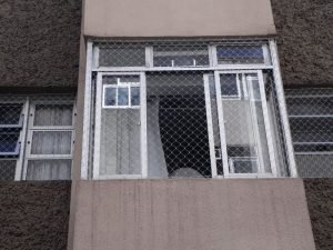 Redes de proteção para pets em Curitiba