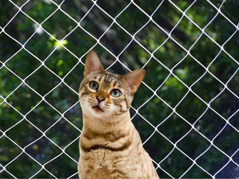 Proteja sua família com rede residencial em São José dos Pinhais