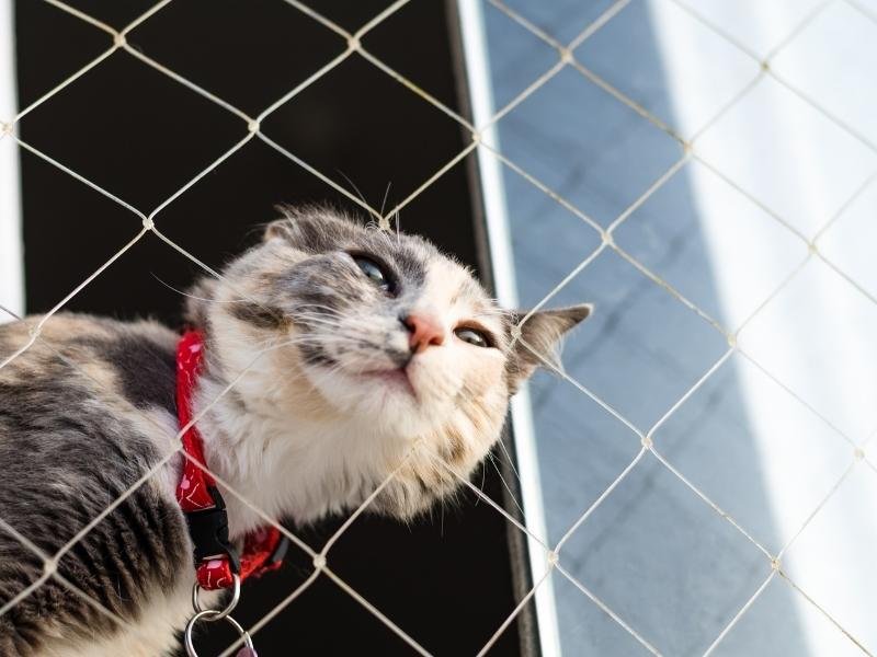 Rede de proteção de alta resistência em Fazenda Rio Grande