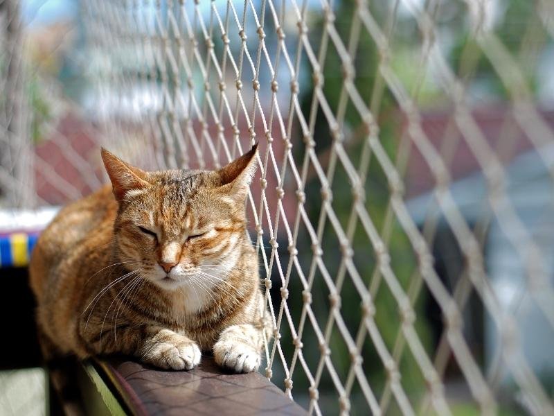 Instalação de rede de segurança em Curitiba