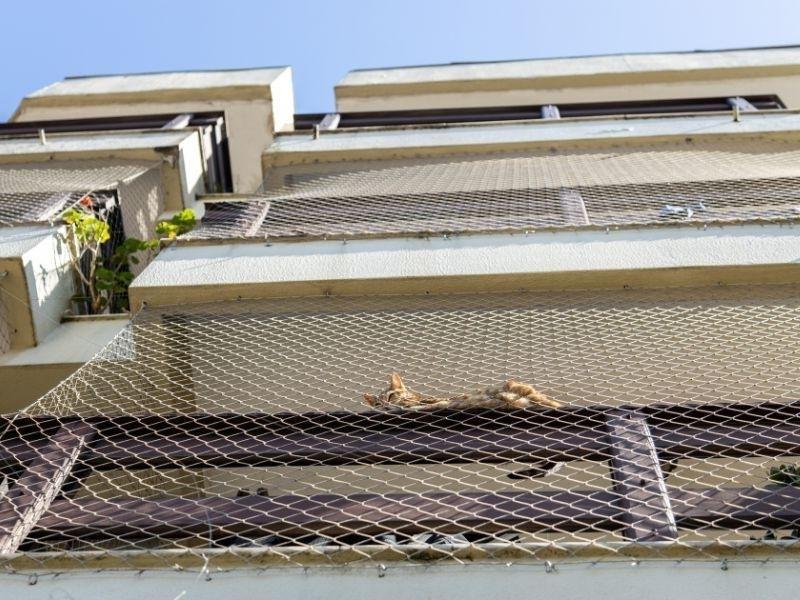 Garanta a segurança de animais com rede residencial em Curitiba