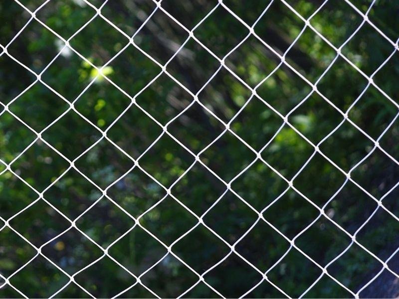 Proteja animais com tela de proteção em Cerro Azul