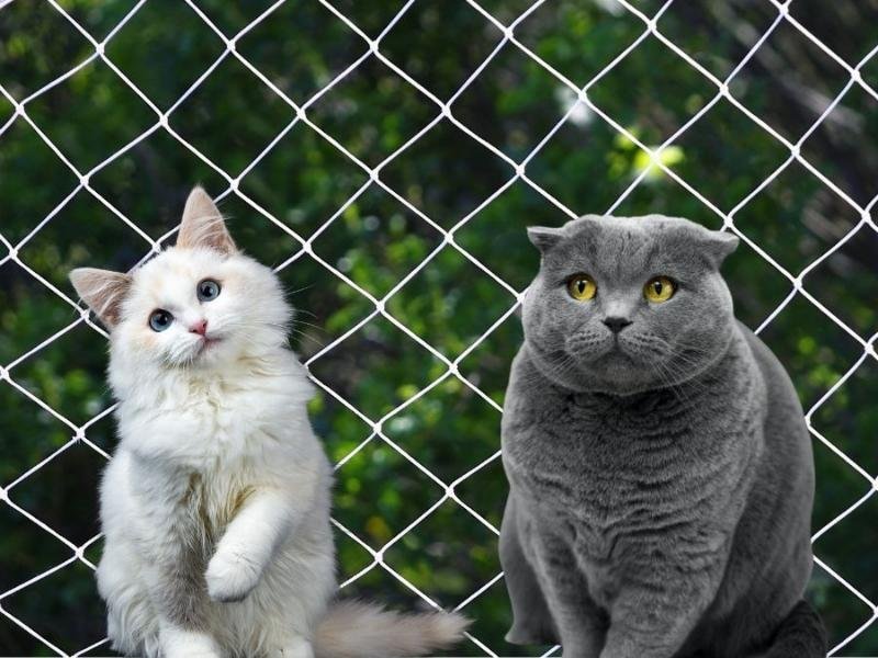 Rede para janelas de alta resistência em Agudos do Sul