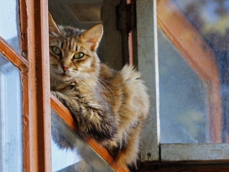 Instalação de redes de proteção em Curitiba Instalação de redes de proteção em Curitiba