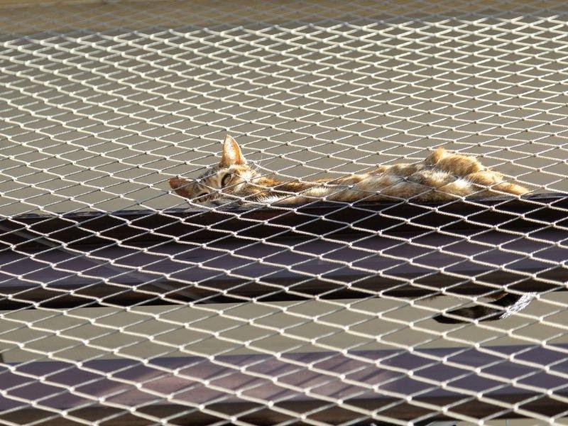 Rede protetiva para Janelas, Sacadas e Piscinas em Adrianópolis Rede protetiva para Janelas, Sacadas e Piscinas em Adrianópolis