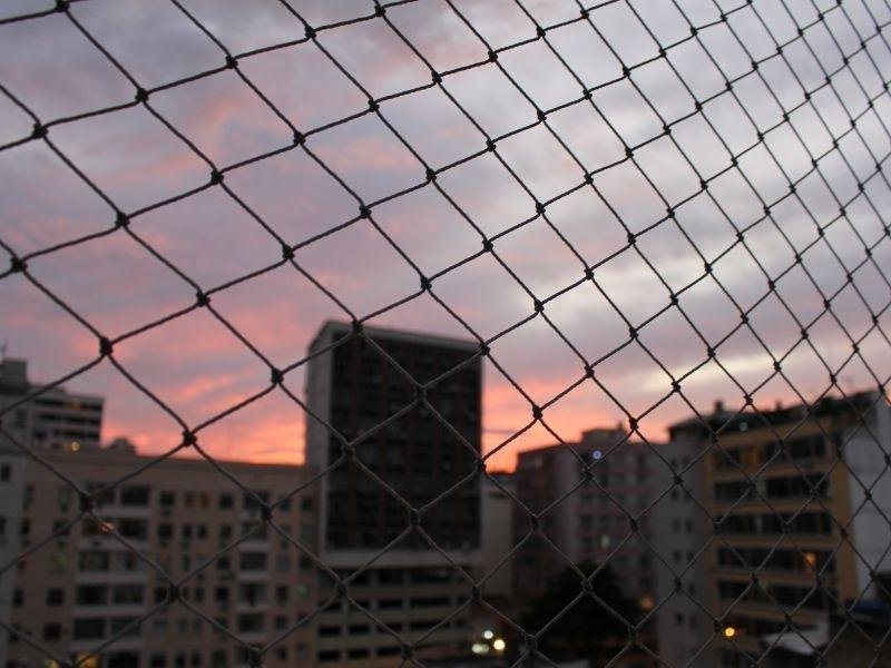 Rede de Proteção Curitiba