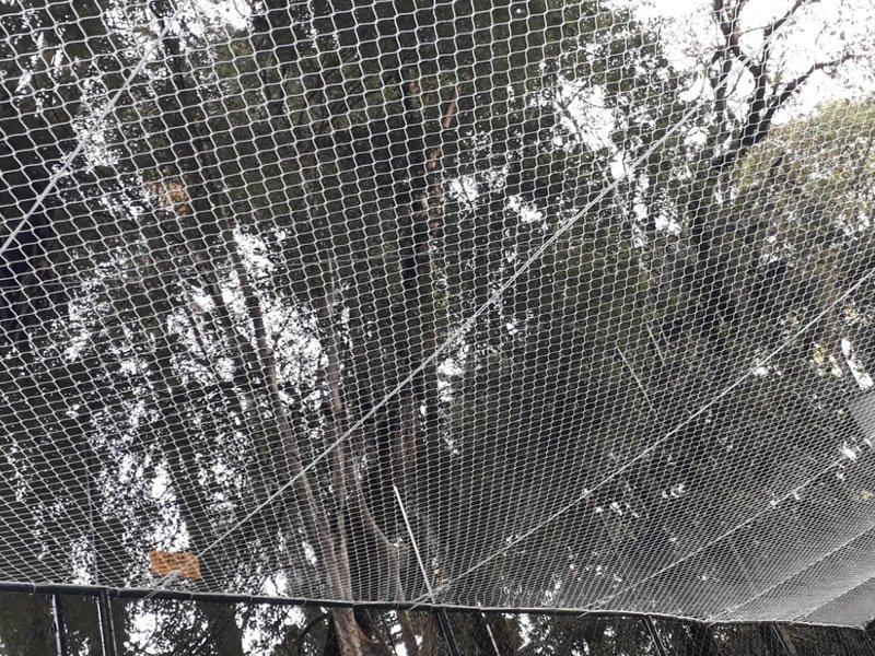 Telas de segurança para idosos em Curitiba Telas de segurança para idosos em Curitiba