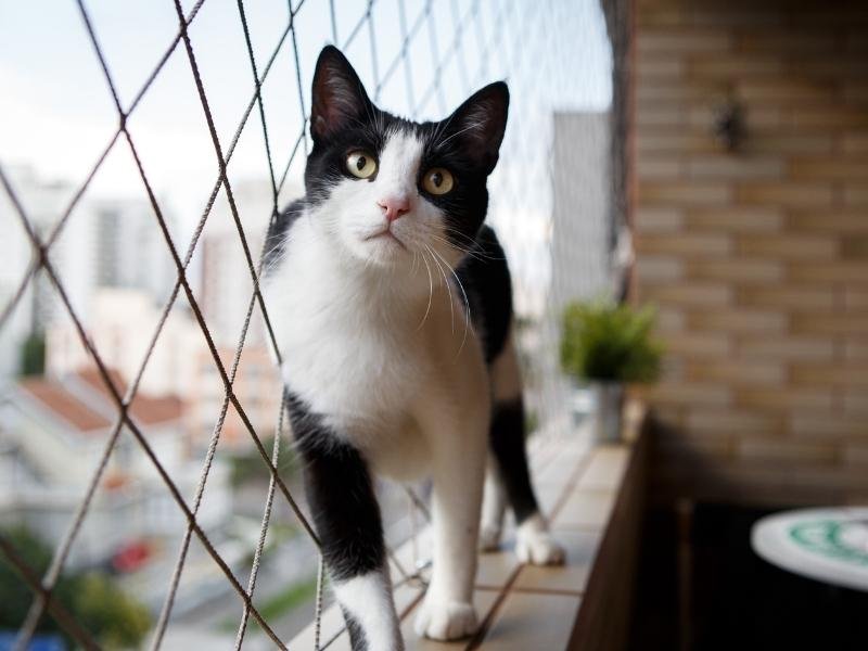 Redes de Proteção Adrianópolis Redes de Proteção Adrianópolis