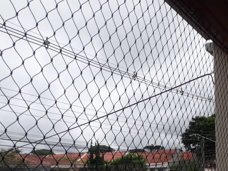 Rede de Proteção Curitiba