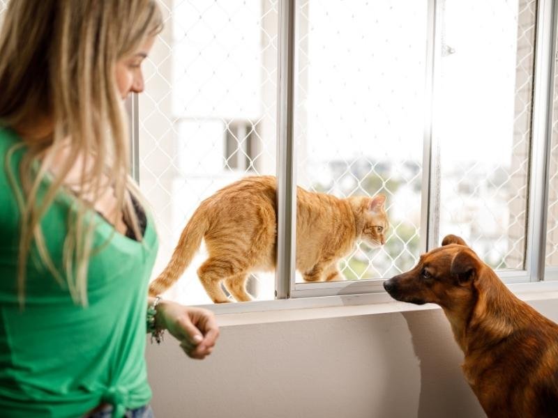 Redes de Proteção em Bocaiúva do Sul Redes de Proteção em Bocaiúva do Sul