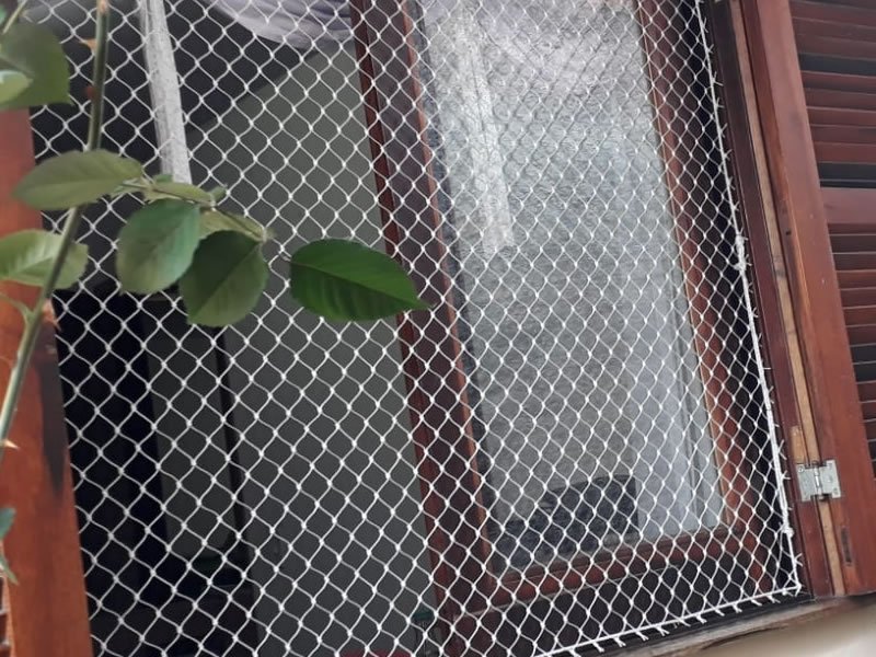 Redes de Proteção em Campo do Tenente