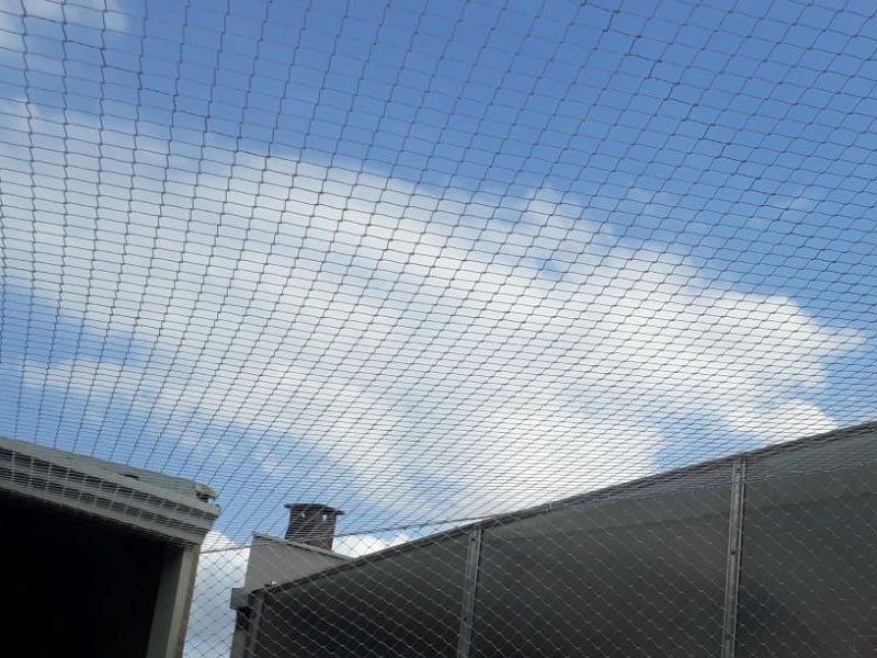 Telas de Proteção em Piên